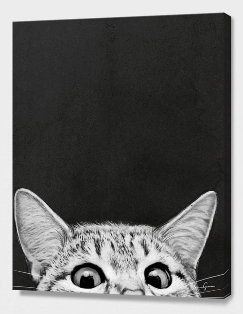 e50ab7a795df202e84feeaf8e7af3e48